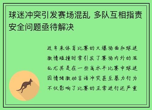 球迷冲突引发赛场混乱 多队互相指责安全问题亟待解决