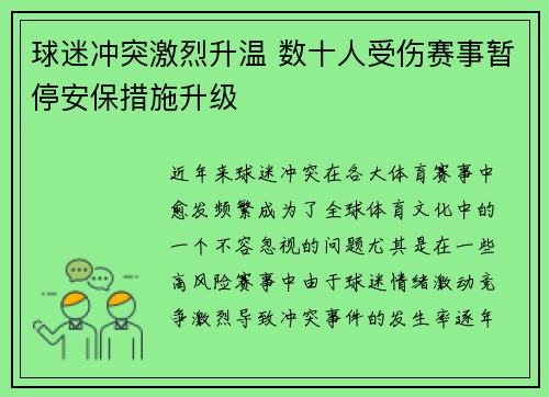 球迷冲突激烈升温 数十人受伤赛事暂停安保措施升级